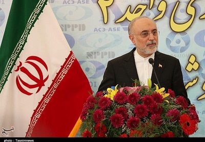 صالحی: نیروگاه هستهای بوشهر تا دو روز آینده وارد مدار میشود صالحی: نیروگاه هستهای بوشهر تا دو روز آینده وارد مدار میشود