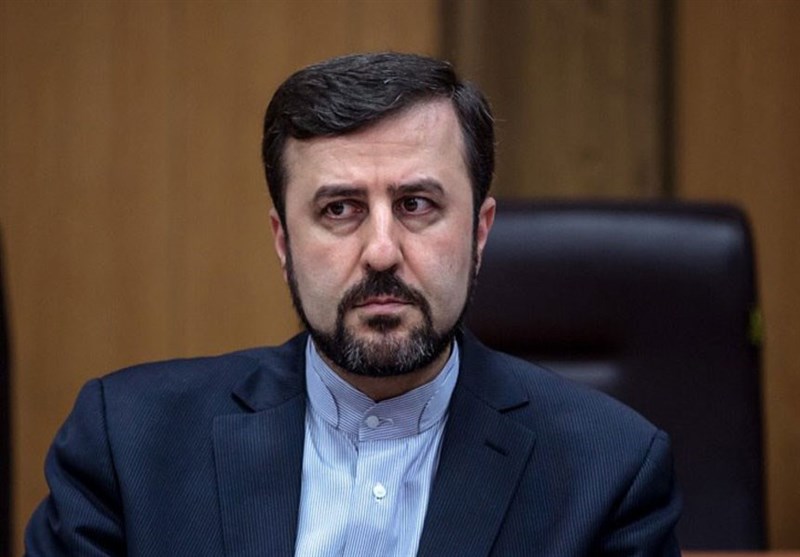 غریب‌آبادی: ایران الزامی برای انجام درخواست آژانس ندارد/ نقش آژانس صرفاً در حد یک مجری است