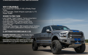 بهترین وانت‌های فورد F-150 شلبی برای فروش